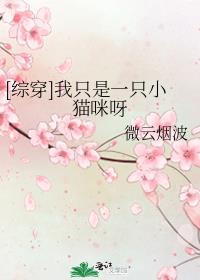 我是一只三花猫[综]