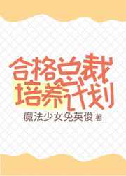 合格总裁培养计划 完结+番外