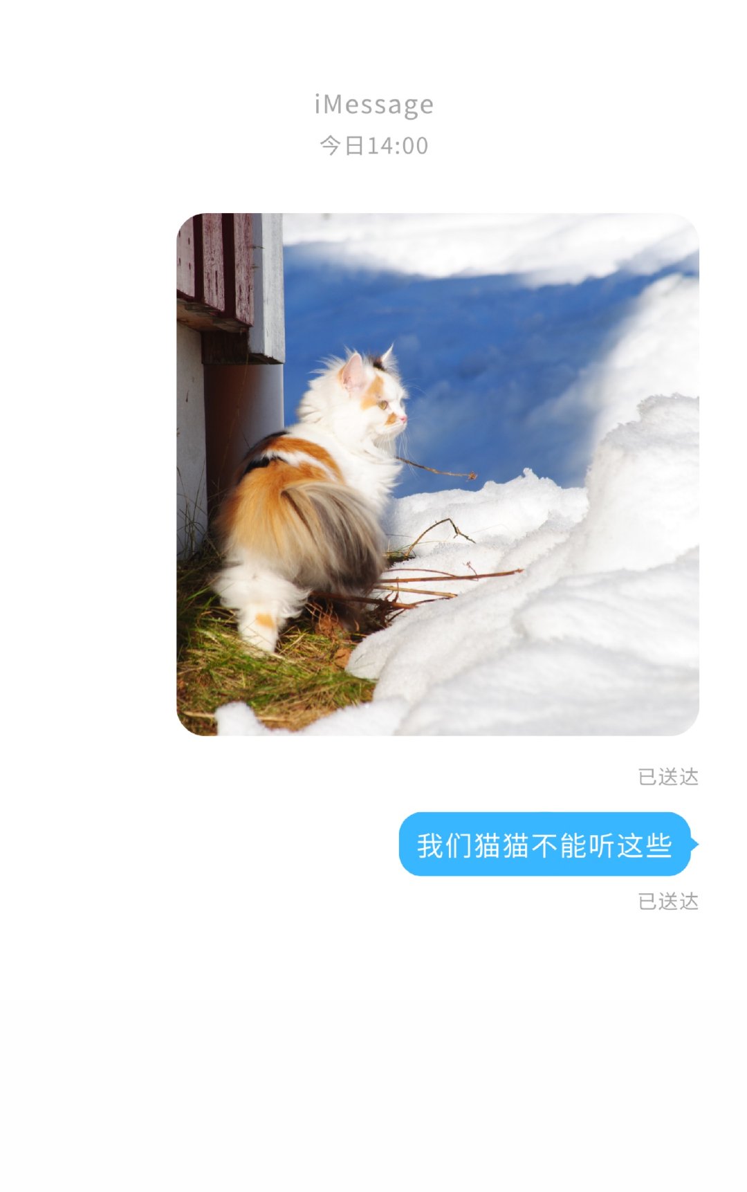 你觉得听猫