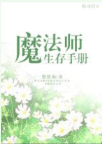 魔法师生存手册 小说