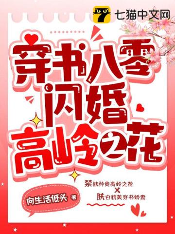 穿书八零闪婚高岭之花叶宁