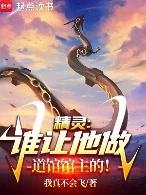 精灵,谁让他做道馆馆主的网页版