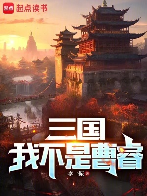 三国:我不是曹睿笔趣阁